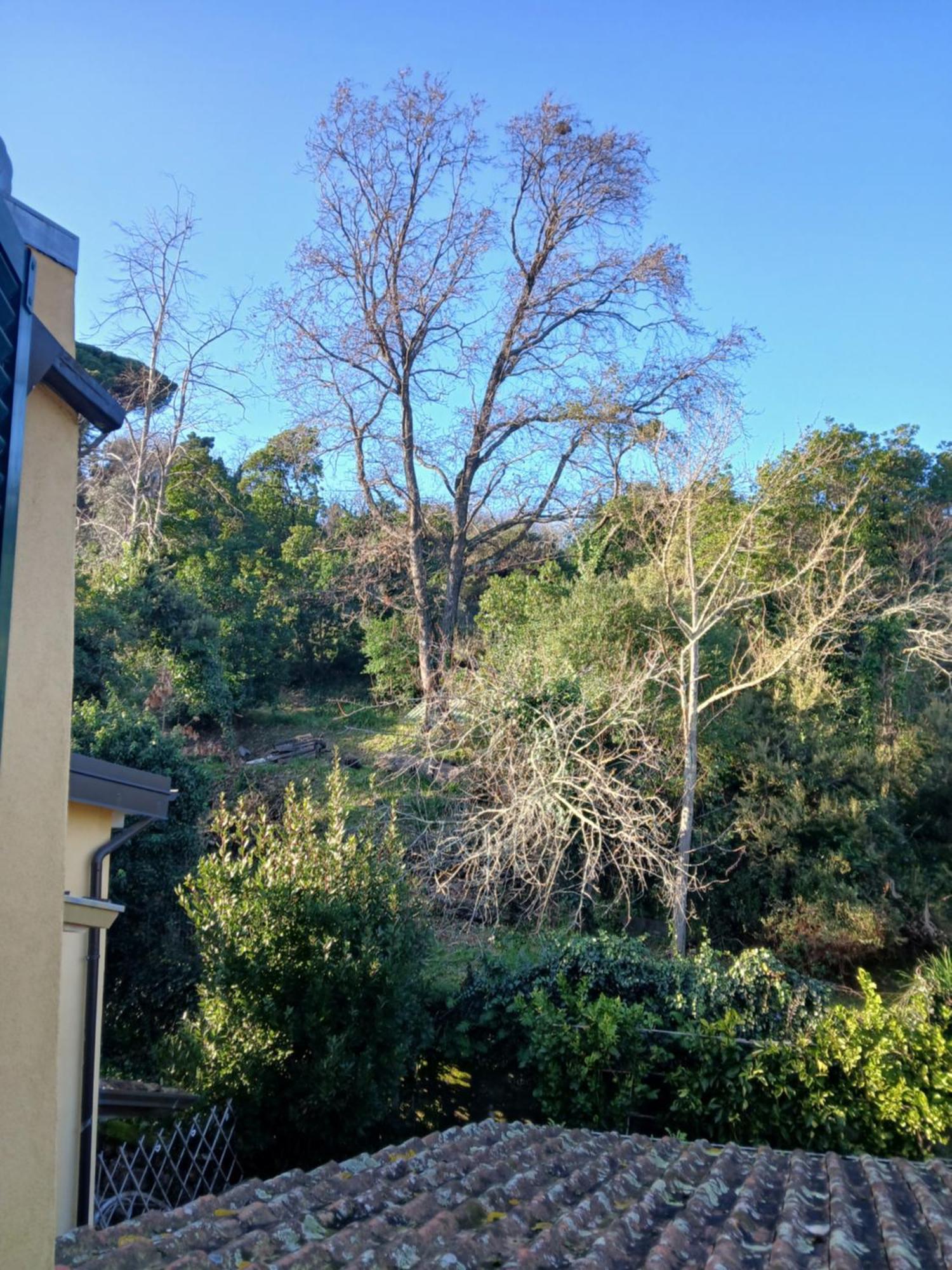Casa Misha Tra 5 Terre E Versilia Bocca di Magra Exterior foto